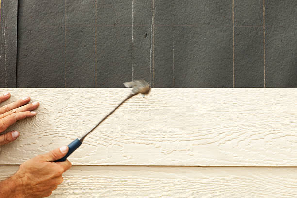 Best Custom Siding Design  in Freeman, SD